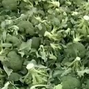 绵阳 精品西兰花大量上市中