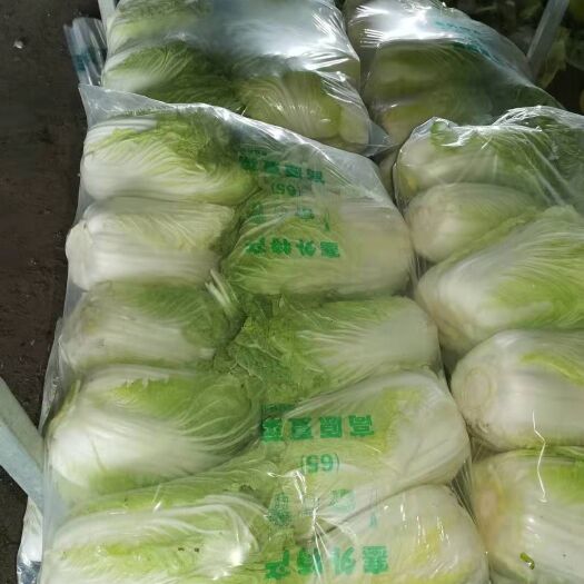 嘉鱼县 黄心大白菜