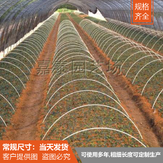 东莞市单体拱棚 遮阳网防虫温室塑料保温棚支架小拱棚拱杆拱棚竿蔬菜花棚大棚骨架