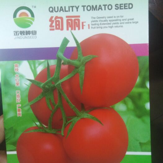 西安红果番茄种子 高秧红果高性价比