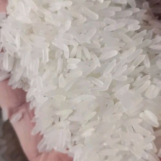武穴市丰良优系列 一等品 早稻 籼米