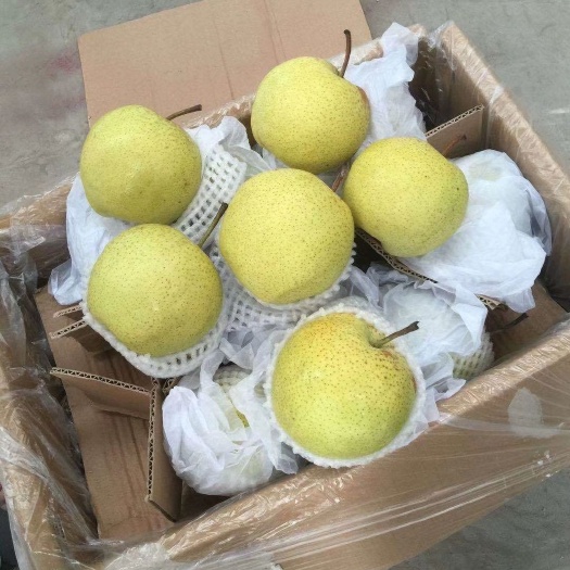 赵县 雪花梨！超市系列产品