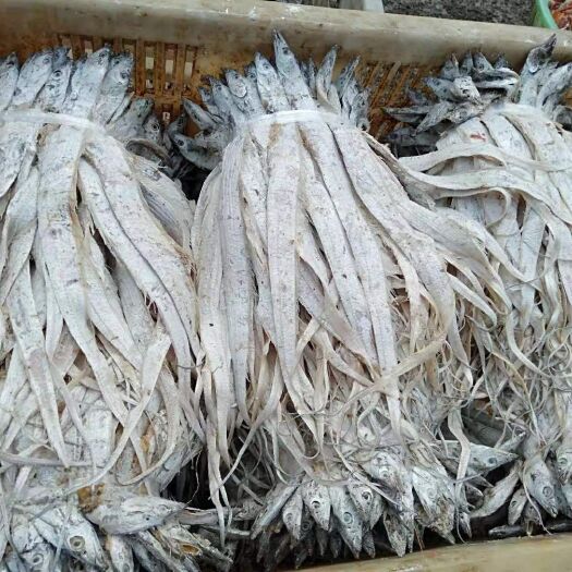 北部灣帶魚(yú) 人工養(yǎng)殖 0.5公斤以下
