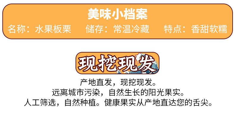 2020新鮮栗子板栗毛栗子板粟批發(fā)油栗