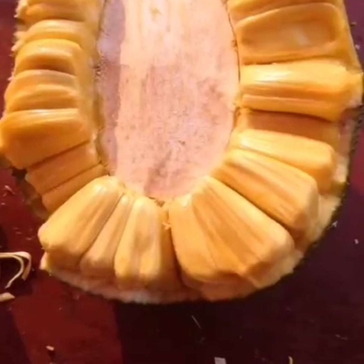 玉林 泰国菠萝蜜