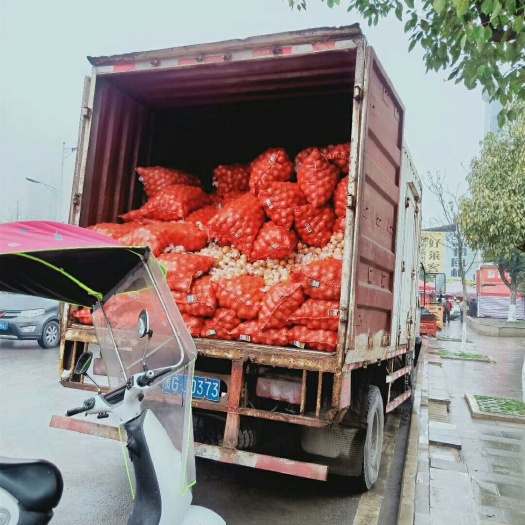 镇宁县 麻阳冰糖橙。麻阳拉的。现货在镇宁。