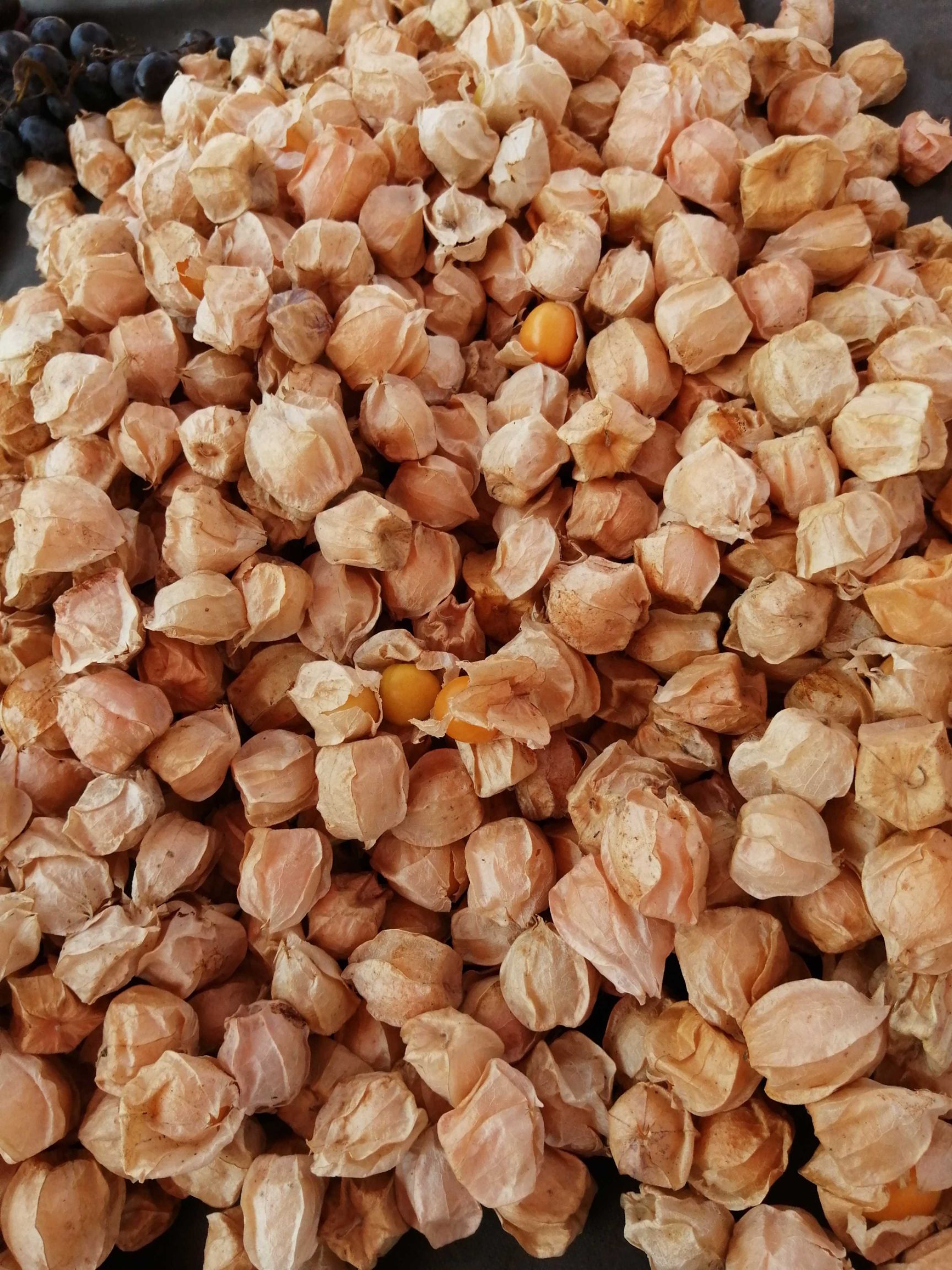  榴莲//普通消费者的水果餐
