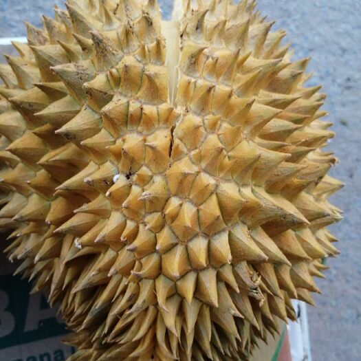 钦州 榴莲//普通消费者的水果餐