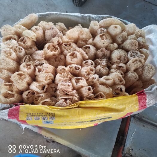 如皋市丝瓜络选货