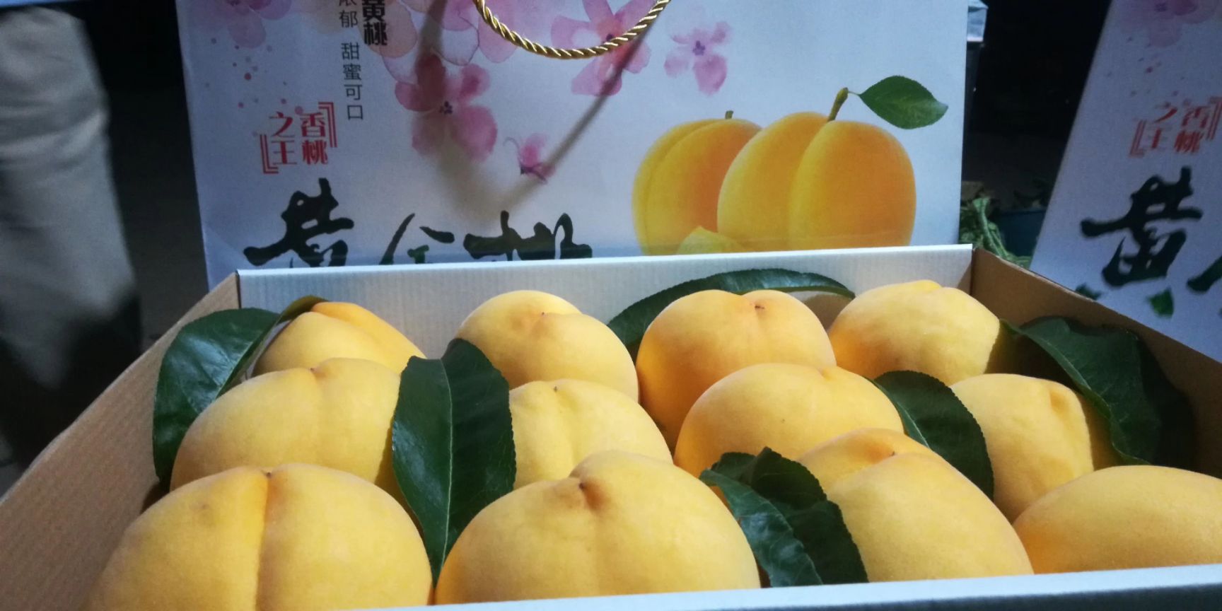 产地直供:世纪桃王(黄肉型)，西尾黄金桃