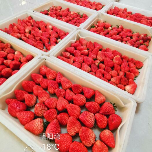 围场县 原味99红颜草莓，当天发货