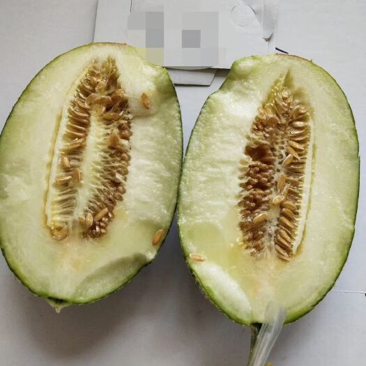 蒲城县蜜罐甜瓜 翡翠佳人