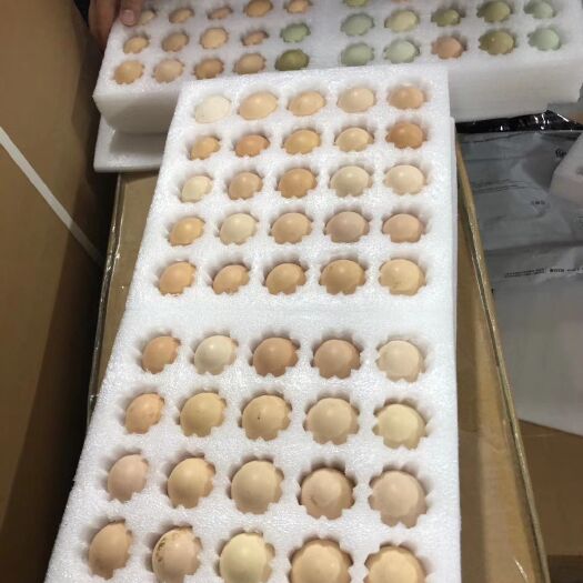 阳朔县 瑶山土鸡蛋