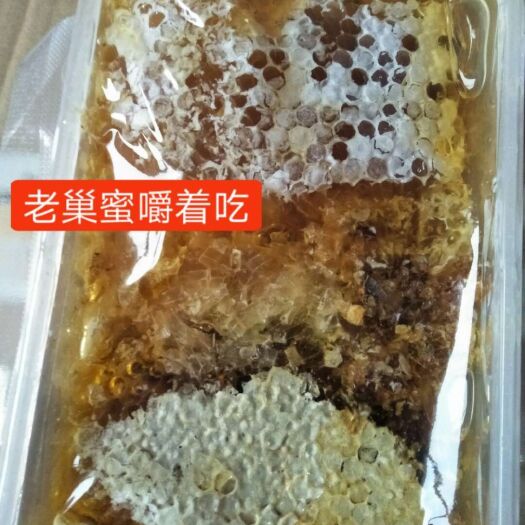 南江县圆桶蜂巢蜜 四川光雾山土蜂蜂巢蜜农家自产自销一年取一次