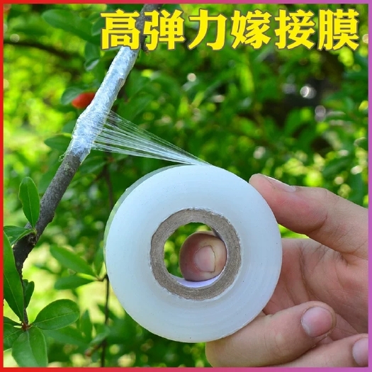 涟水县 嫁接膜果树缠绕膜嫁接专用塑料薄膜自粘嫁接