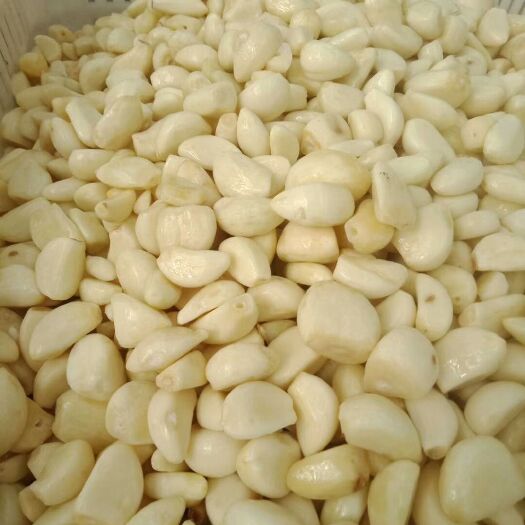 兰陵县蒜米，二级米，做蒜泥泡菜切丁火锅底料