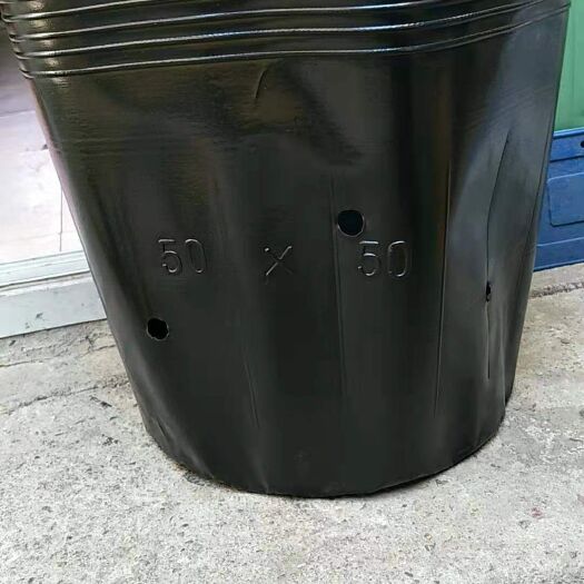 玉田县育苗袋/育苗杯/容器袋 大树营养杯50×50