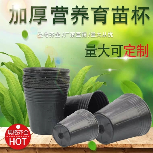 育苗袋/育苗杯/容器袋 营养钵营养杯塑料育苗杯花盆一次性营养袋厂家直销育苗盆黑色