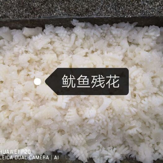 烟台 鱿鱼残花  扳冻   量大现货
