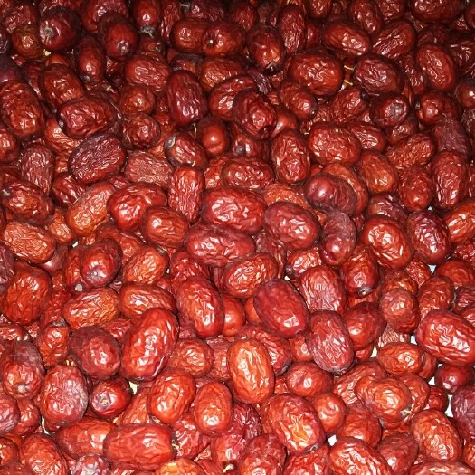 且末县 昆仑山北麓，塔克拉玛干南侧地域产出，大漠红枣，吃了忘不了