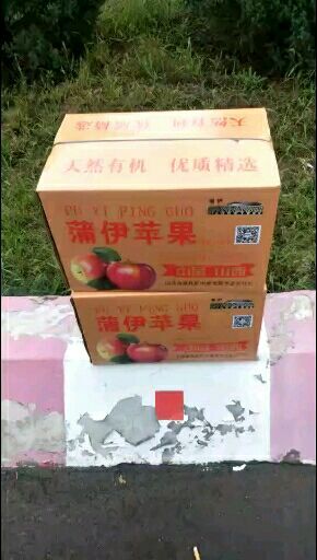 蒲县红富士苹果 75mm以上 条红 纸+膜袋