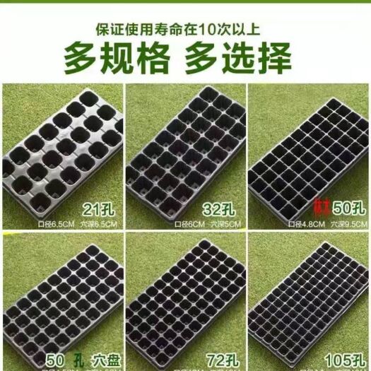玉田县穴盘/育苗盘 穴盘