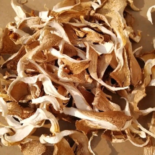 郑州 优质干平菇
