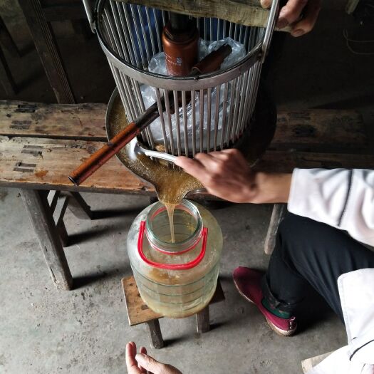 重庆市 自家土蜂蜜