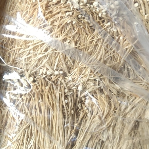 古田县 金针菇干货，