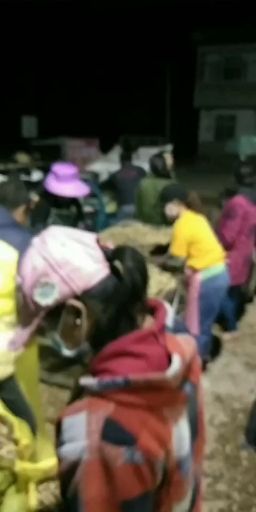  江苏徐州，白皮，大白沙系列鲜货带壳花生货源充足人工筛选精品果