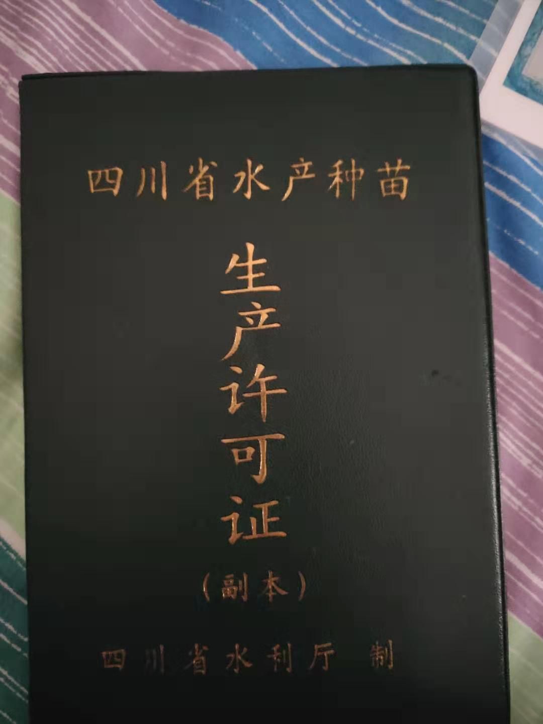 优鲈1号、闽鲈1号、皖鲈1号