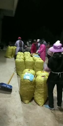 白沙系列  【江苏徐州鲜花生热卖中】价格低质量好走的是薄利多销路线筛选货