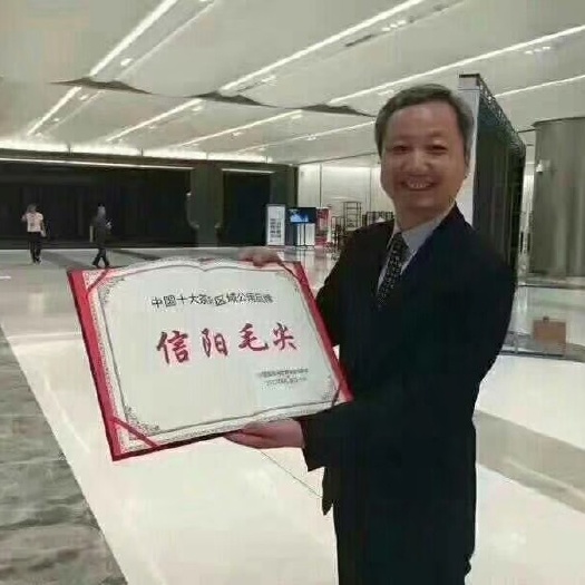 信阳信阳毛尖 特级 礼盒装