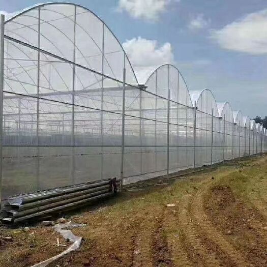 沭阳县 温室蔬菜大棚