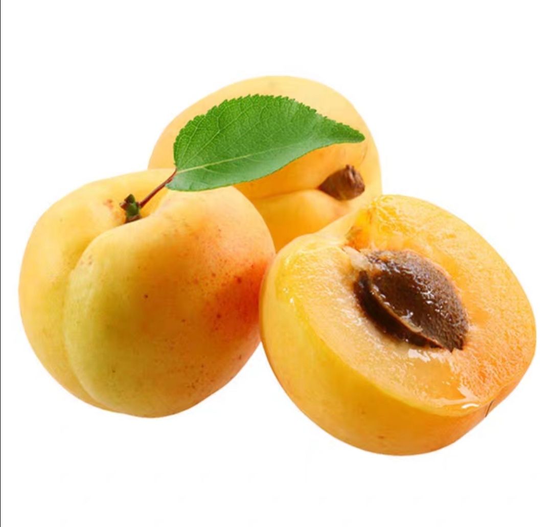 凯特杏苗  凯特杏嫁接杏树果树苗南北方四季种植阳台盆栽庭院地