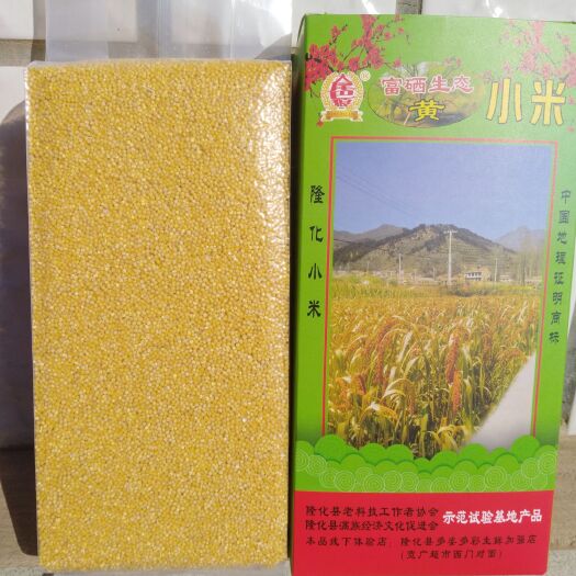 隆化县五谷米 种植传统品种，传统生态种植法，以牛肥为肥料，人工喷硒肥法。