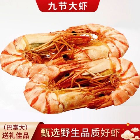 诏安县九节虾 九节干虾。 可以当零食吃