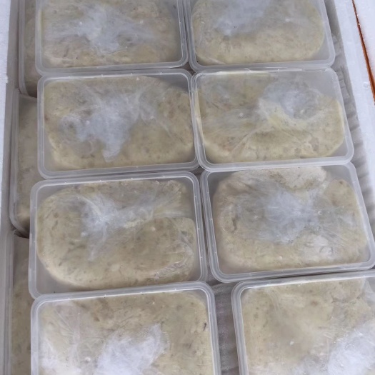  广东茂名电白博贺特产墨鱼胶手打墨鱼饼墨鱼胶
