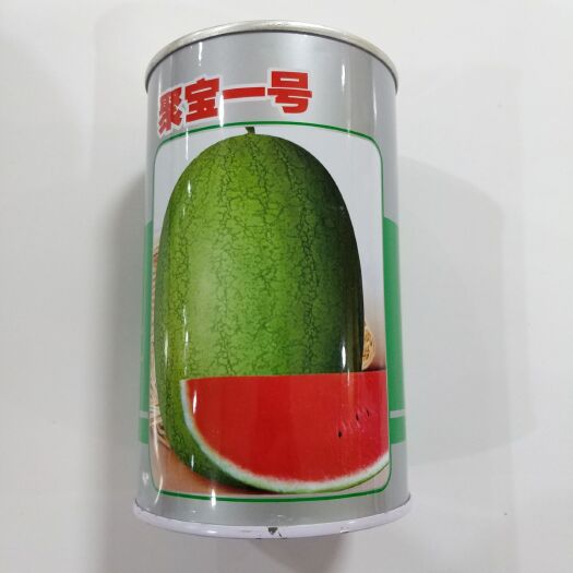 临沂 丰乐聚宝一号西瓜种子批发