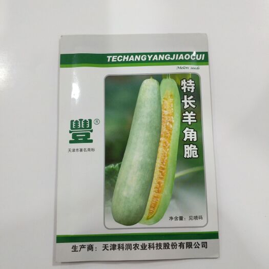 临沂 特长羊角脆种子羊角脆甜瓜种子批发