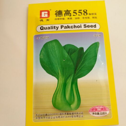 临沂黑油白菜种子 德高558油菜种子优质油菜种子批发