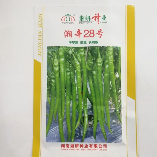 临沂 湘辛28薄皮线椒种子线椒种植基地合作社专用品种