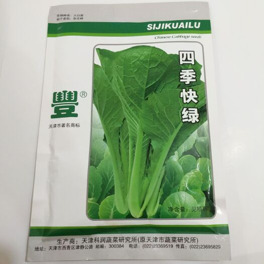 临沂 四季快绿小白菜种子批发快菜种子