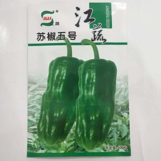 临沂 苏椒五号辣椒种子批发薄皮辣椒种子