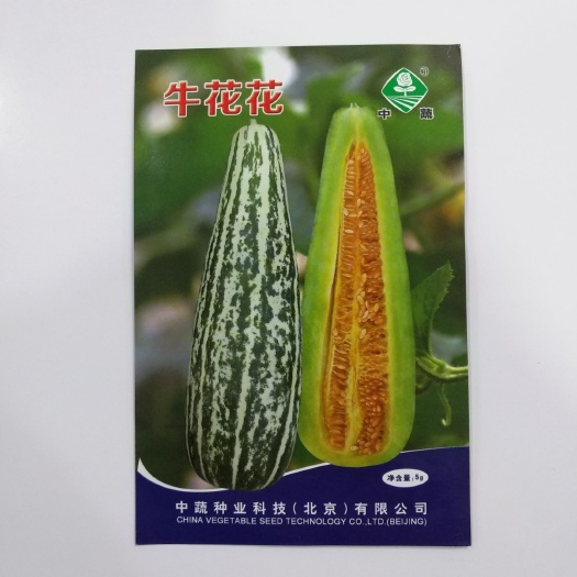 临沂 牛花花甜瓜种子批发花皮甜瓜种子