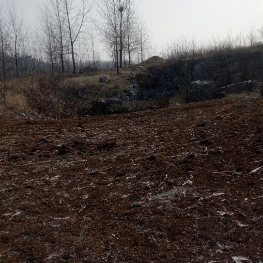 邳州市荒地 一座山建设中