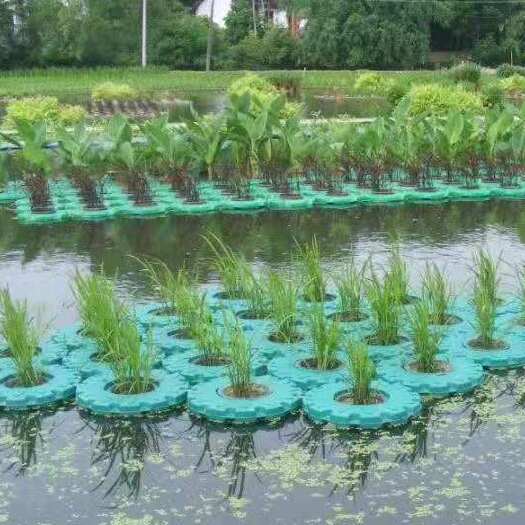 安新县生态浮床  生态浮岛