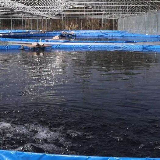 广州水产养殖网箱 新型高密度智能水产养殖池