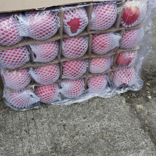 静宁县静宁苹果 一箱也是批发价