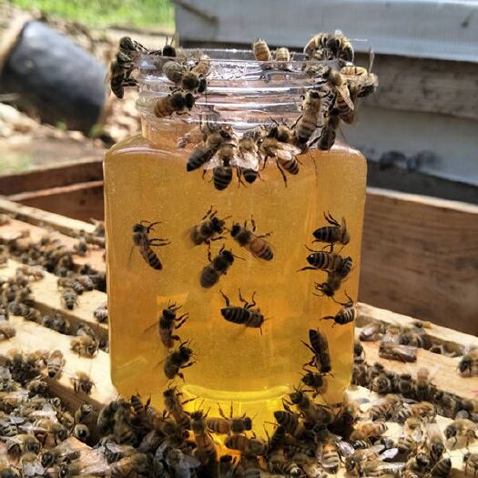 蜂蜜天然正品纯深山百花蜜土蜂蜜农家自产自销自然成熟